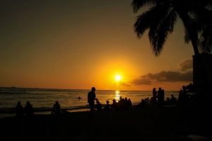 528187_10151318798526058_1980369650_n