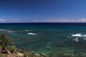 561420_10151318773581058_107193690_n