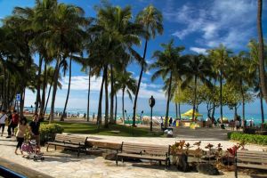 575878_10151318788706058_1031081310_n