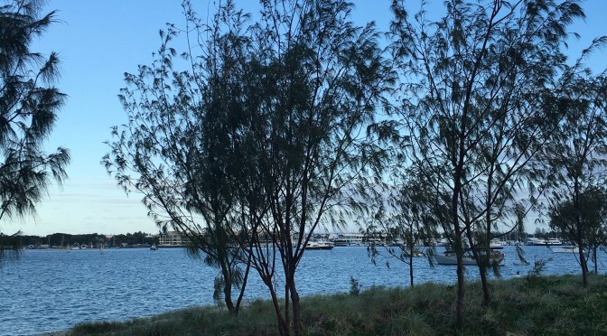 Heart Bombing The Christmas Markets